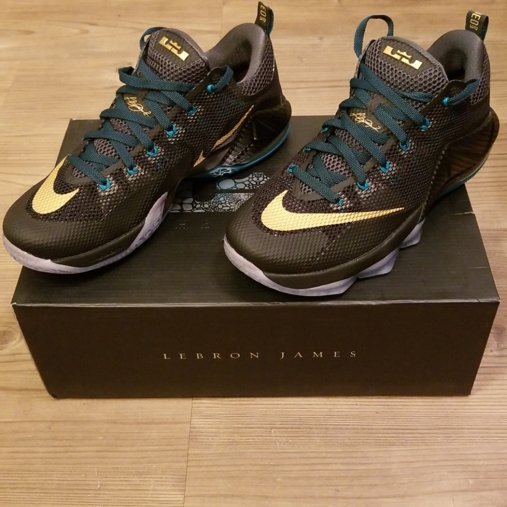 Mens Nike Lebron James XII SVSM Basketball Shoes